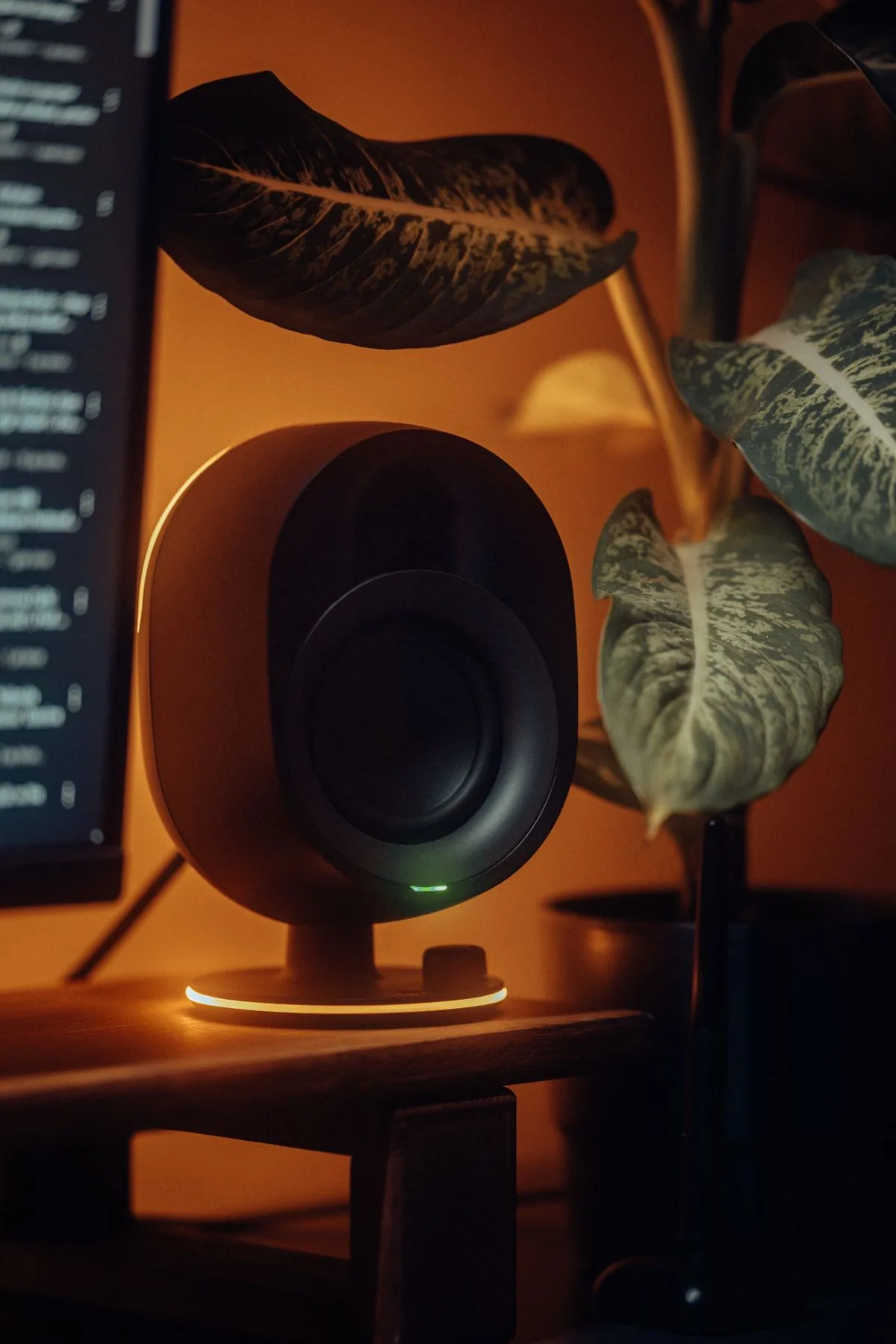 Enceinte audio dans un bureau chaleureux, près d’une plante.